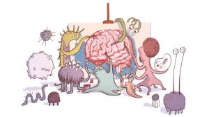 gut brain conection